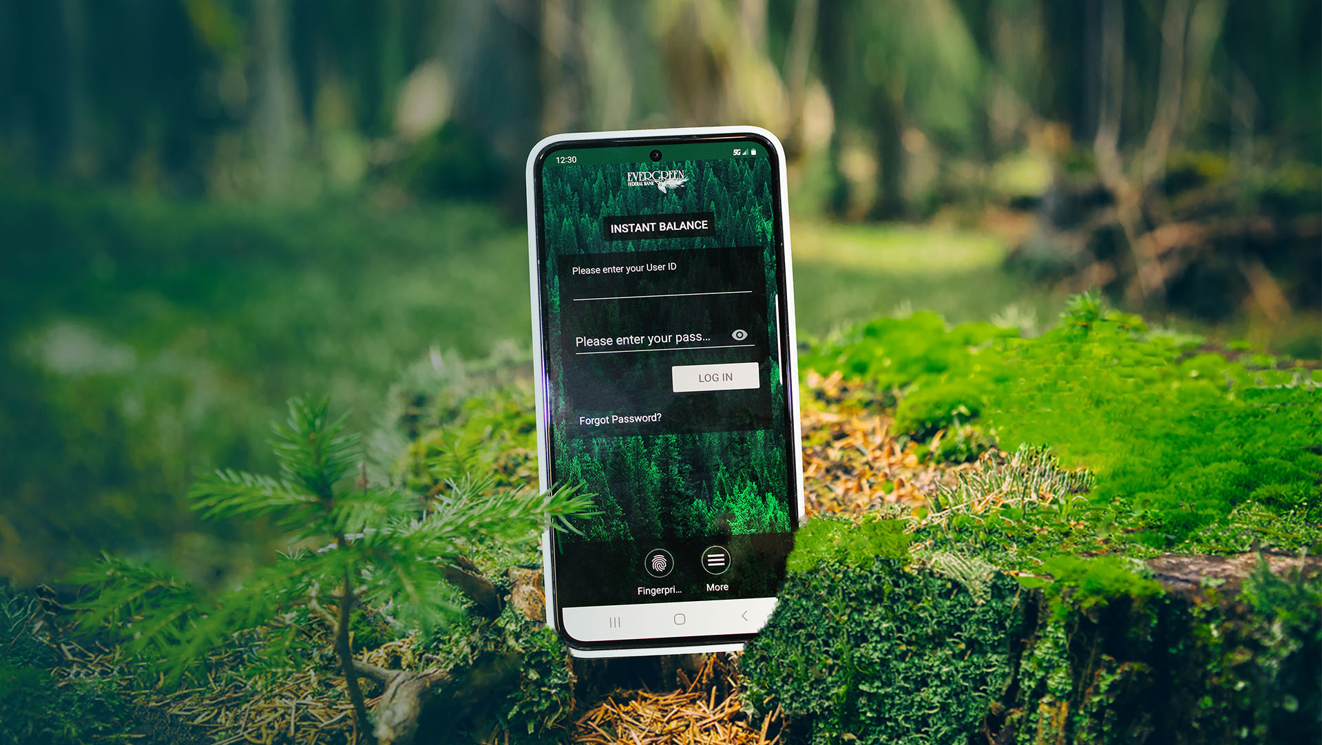 Evergreen's Personal Mobile App