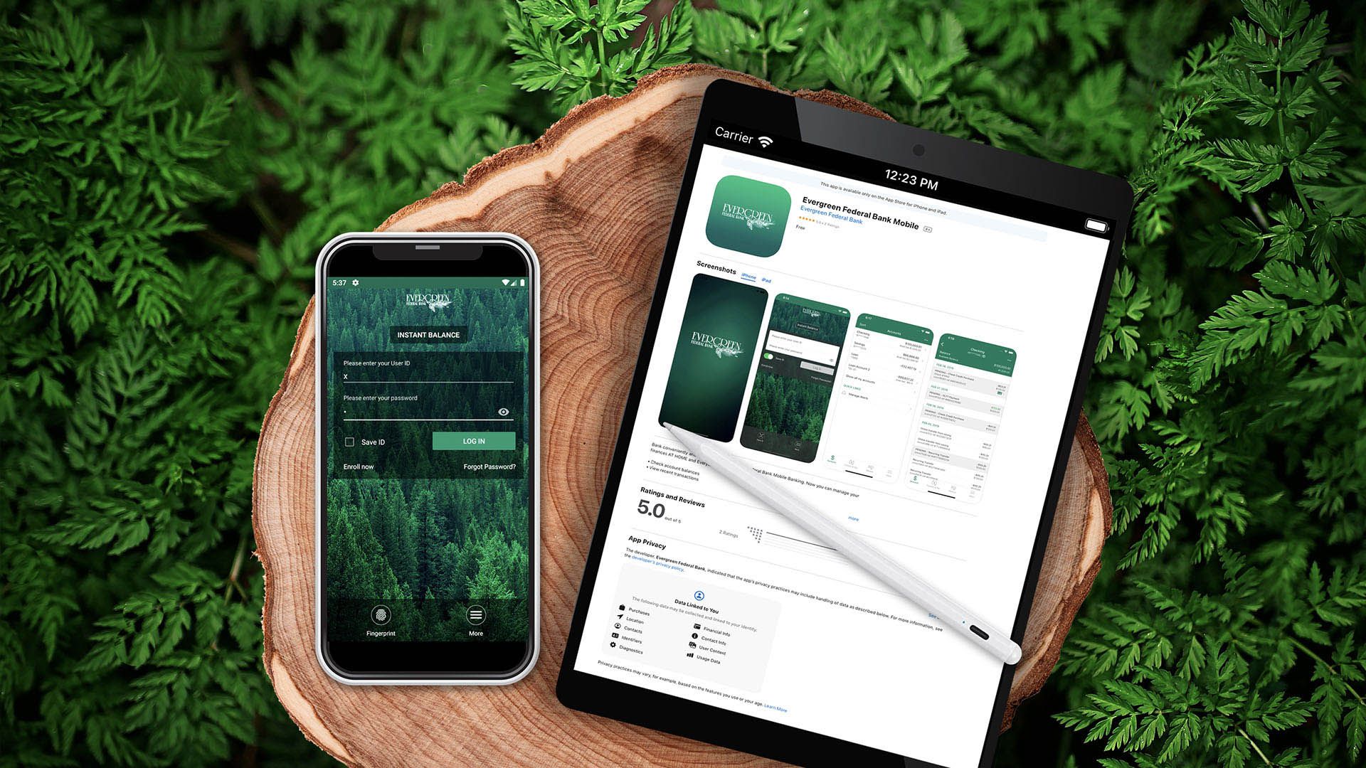 Evergreen Mobile Banking